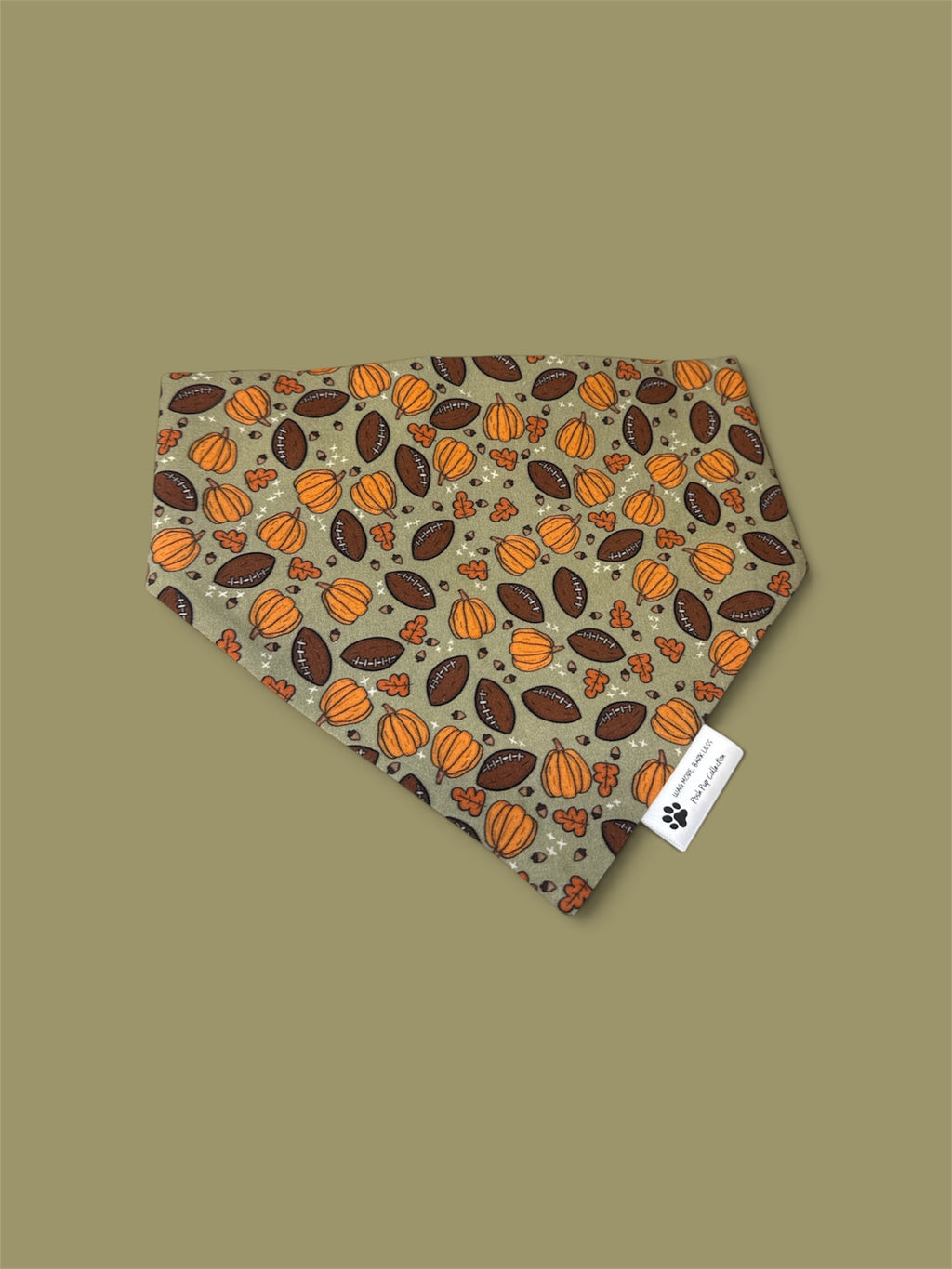 Paws & Touchdowns Dog Bandana 🍂🐾🏈